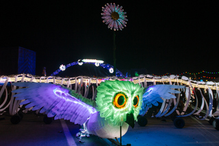 owl-at-makerfaire