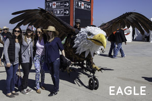austin bike zoo eagle gallery
